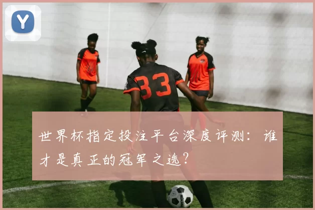 世界杯指定投注平台深度评测:谁才是真正的冠军之选?
