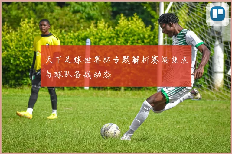 天下足球世界杯专题解析赛场焦点与球队备战动态