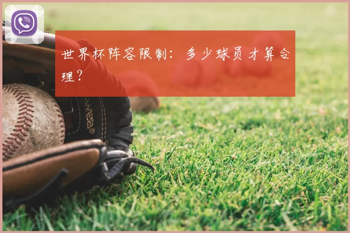 世界杯阵容限制：多少球员才算合理？