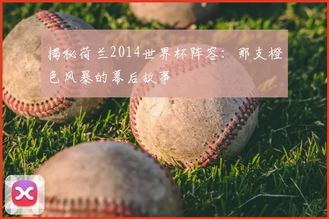 揭秘荷兰2014世界杯阵容：那支橙色风暴的幕后故事
