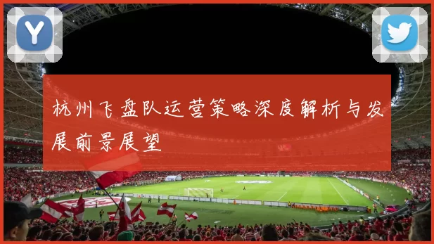 杭州飞盘队运营策略深度解析与发展前景展望