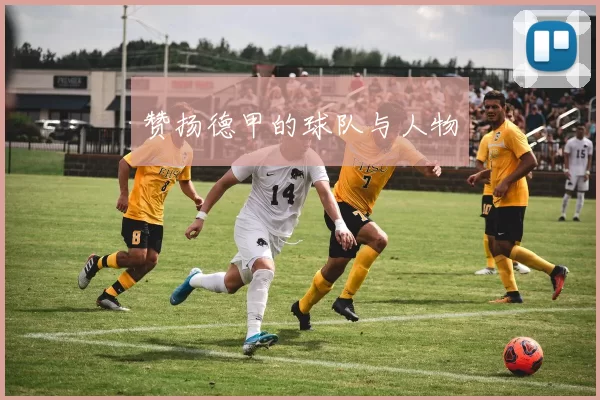 赞扬德甲的球队与人物