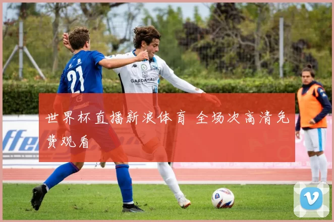 世界杯直播新浪体育 全场次高清免费观看