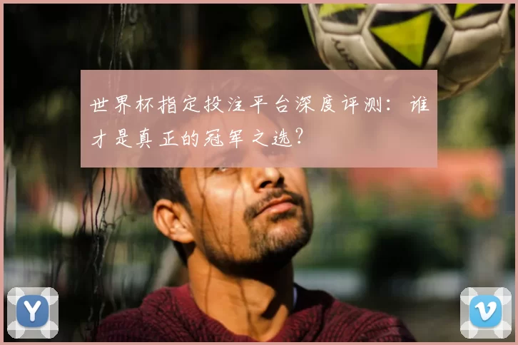 世界杯指定投注平台深度评测：谁才是真正的冠军之选？