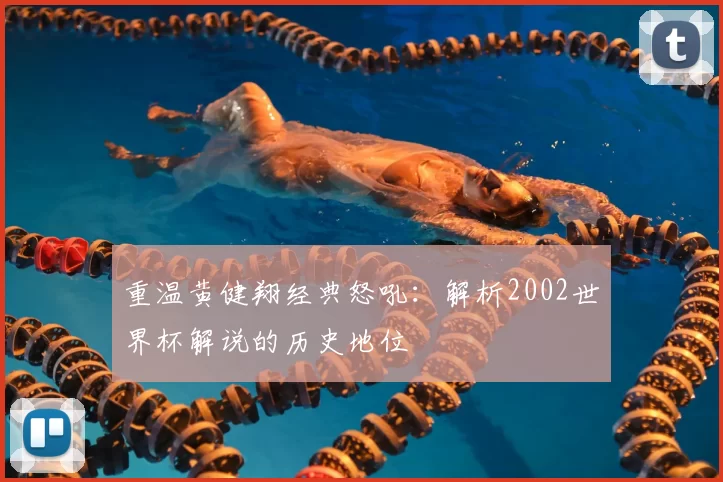 重温黄健翔经典怒吼：解析2002世界杯解说的历史地位