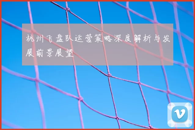 杭州飞盘队运营策略深度解析与发展前景展望