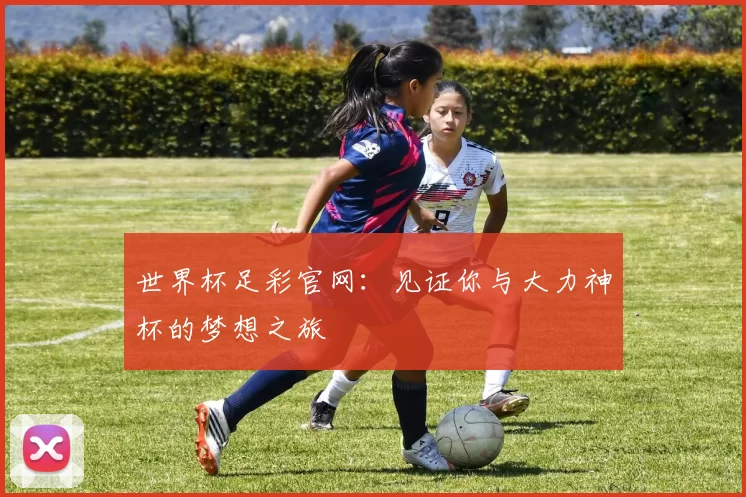 世界杯足彩官网：见证你与大力神杯的梦想之旅