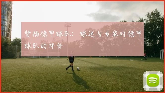 赞扬德甲球队：球迷与专家对德甲球队的评价