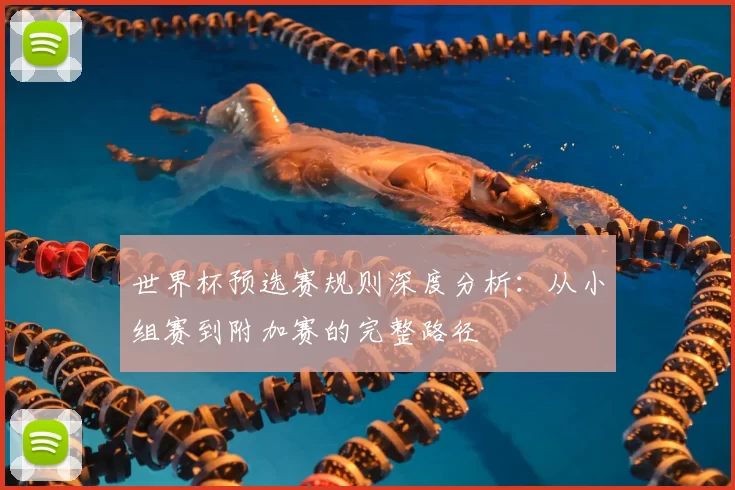 世界杯预选赛规则深度分析：从小组赛到附加赛的完整路径
