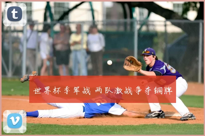 世界杯季军战 两队激战争夺铜牌