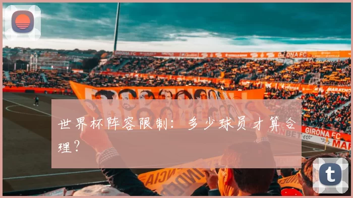 世界杯阵容限制：多少球员才算合理？
