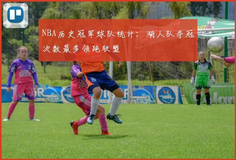 NBA历史冠军球队统计：湖人队夺冠次数最多领跑联盟
